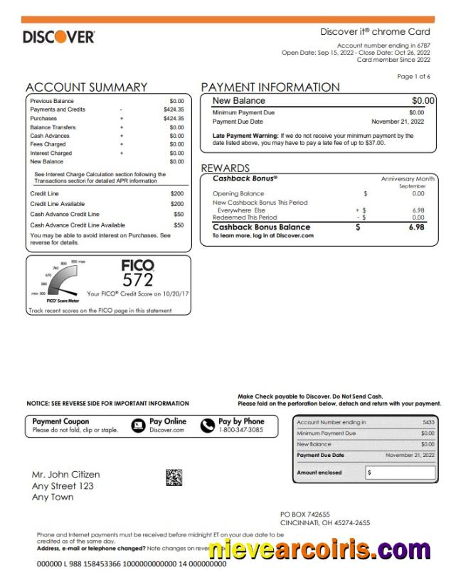 USA Discover bank statement, Word and PDF, 5 pages